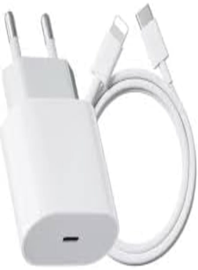 25W Dual USB C Charger with C to L Cable White